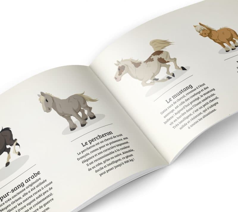 Histoire Du Cheval - Quelle Histoire - Des Livres Pour Les 6 à 10 Ans